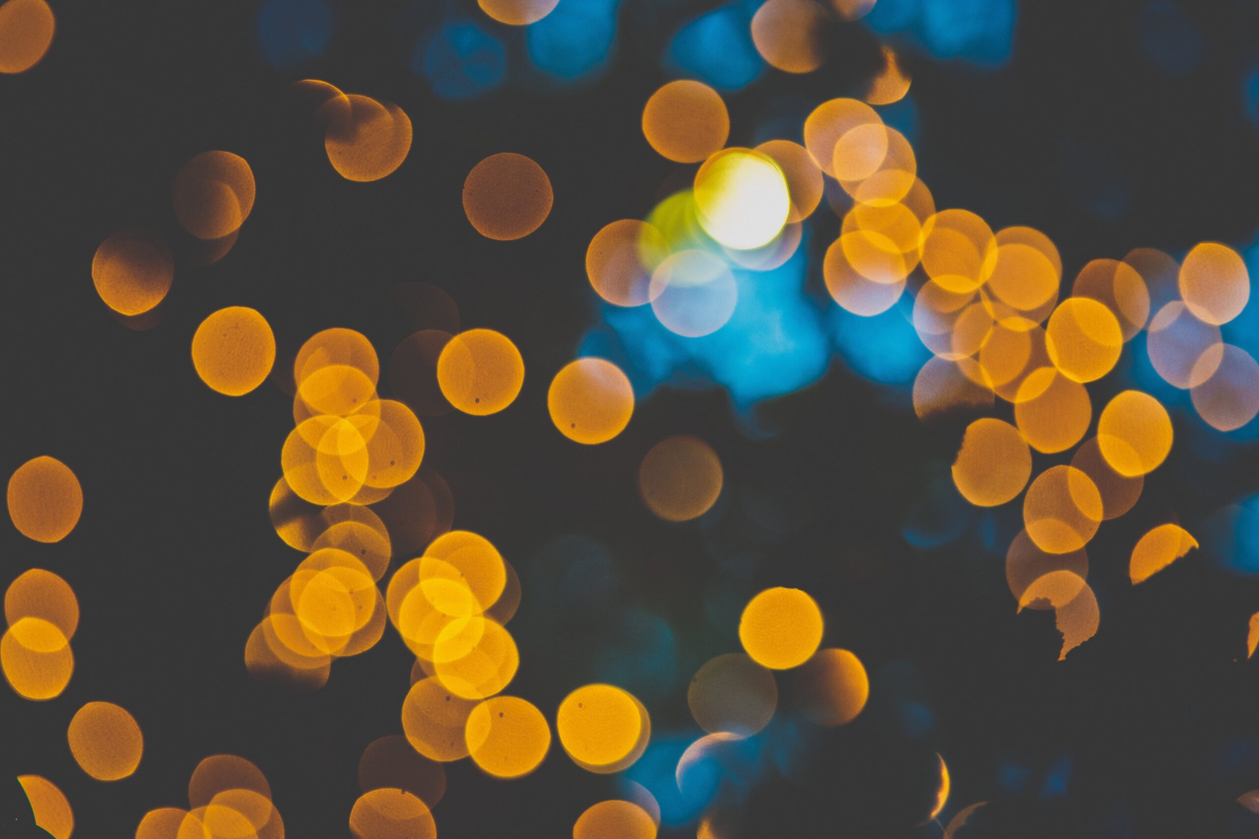Illuminating Orlando’s Nightscape with Landscape Lighting Orlando